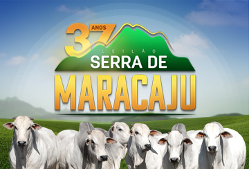 LEILÃO SERRA DE MARACAJU 37 ANOS